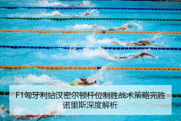 xiong-ya-li-zhan-han-mi-er-dun-gan-wei-zhi-sheng-zhan-shu-ce-lve-wan-sheng-nuo-li-si-shen-du-jie-xi-2-916.jpg